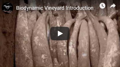 What Does Biodynamic Mean?